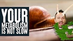 Your Metabolism is NOT slow! | New Study Breakdown | Biolayne