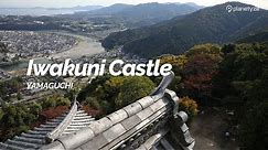 Iwakuni Castle, Yamaguchi | Japan Travel Guide