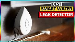 Best Smart Water Leak Detector Review 2024 [Top 5 Picks For Any Budget]
