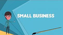 What is Small business? Explain Small business, Define Small business, Meaning of Small business