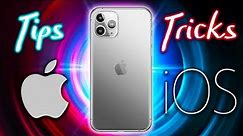 iPhone 11 and 11 Pro Max - First 11 Things To Do!