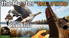 Leucistic Tundra Bean Goose & More! The First Hunt On Revontuli Coast Early Access! Call of the wild