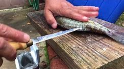 Crappie - Clean and Cook - A Total different way for cleaning fish and cooking them