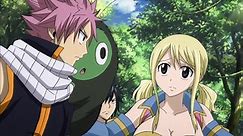 Fairy Tail Series 2 (English Dub) | E224 - The Place You Came To