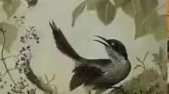 Ostatni na świecie ptak Reliktowiec mały został nagrany podczas śpiewu godowego, do samicy, która nigdy nie nadleciała Zmarł samotnie w 1987 roku, co oznacza koniec jego gatunku