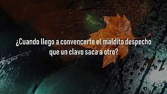 🎵 Ricardo Arjona - Cuando - Letra