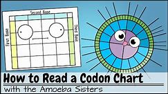 How to Read a Codon Chart