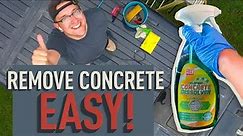 The BEST Way To Remove Concrete From Car Paint - DIY Van Build Part 6