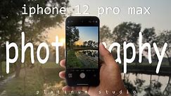 Unleashing the Power of iPhone 12 Pro Max_ The Art of Professional Photography on iPhone 12 Pro Max