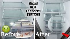 How I Clean My Fridge| How To Deep Clean & Sanitize your Fridge