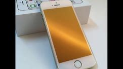 PerfectFit iPhone 5/5c/5s Champagne Gold GlassShield Premium Glass Screen Protector