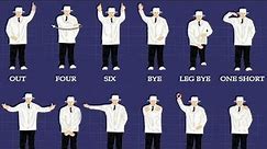 All about cricket umpire hand signals Different types and their meaning | Cartoon Sports