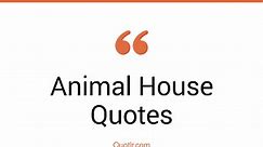105 Authentic Animal House Quotes (flounder animal house, bluto animal house, dean werner animal house)