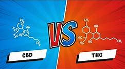 THC VS CBD: What is in your cannabis. What are the similarities & differences between THC & CBD. 🌿💫