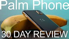 Palm Phone 30 Day Review