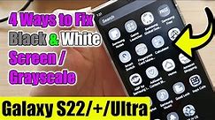 4 Ways To Fix GRAYSCALE / BLACK & WHITE SCREEN on the Samsung Galaxy S22/S22+/Ultra