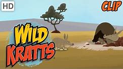 Wild Kratts - Aardvark's Great Escape