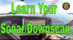 How to Read 2D Sonar & Downscan to Help Catch More Fish | Lowrance Hook2