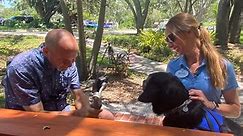 Southeastern Guide Dogs tours show how puppies turn into lifelines