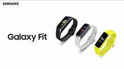 The New Galaxy Fit | Fit e