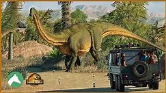 Desert Safari & Petting Zoo | Jurassic World Evolution 2 | Cretaceous Desert Park