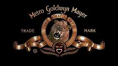 Metro-Goldwyn-Mayer (2007)