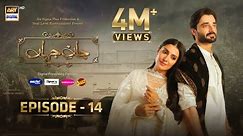 Jaan e Jahan Episode 14 {Eng Sub} | Hamza Ali Abbasi | Ayeza Khan | 3 February 2024 | ARY Digital