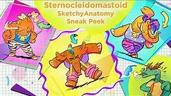 Sternocleidomastoid - SketchyAnatomy Sneak Peek