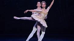 Nutcracker: Sugar Plum Fairy and Prince pas de deux (extract) | English National Ballet