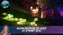 Glow Light Festival Event at Sydney Zoo