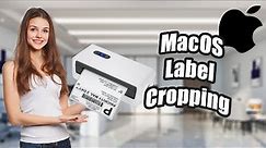 How To Crop & Print 4x6 Inches Labels From A4 Page on MacOS