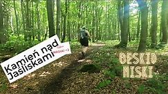 Magiczny las i moje zapominalstwo - Kamień nad Jaśliskami | BESKID NISKI