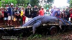 WORLDS 10 BIGGEST CROCODILES ever recorded! The ULTIMATE BIG CROC compilation!