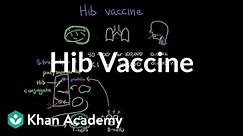 Hib vaccine | Respiratory system diseases | NCLEX-RN | Khan Academy