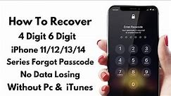 How To Recover 4/6 Digit iPhone 11/12/13/14 Series Forgot Screen Passcode Without Data Losing Or Pc