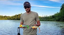 Musky Fishing Tips: Glide Bait Options For Your Tackle Box - Ft. Rich Reinert