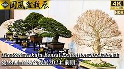 The 98th Kokufu Bonsai Exhibition 2024 Part.1 ~Japanese Bonsai Art Ten~ [4K HDR]