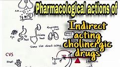 Cholinergic Drugs: Pharmacological Action, Indirect Acting Drugs, and Anticholinesterases