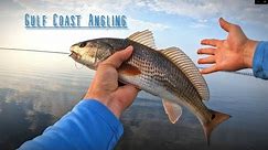 Casual Springtime Inshore Fishing - Pensacola, FL