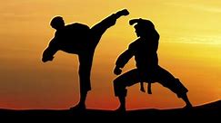 40 Types of Martial Arts from Around the World - Facts.net