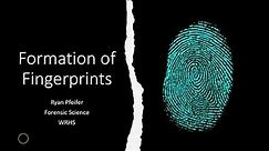 Formation of Fingerprints