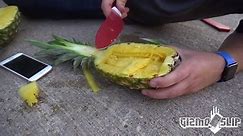iPhone Stuff - Can a Pineapple Protect iPhone 6s From...