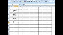How to Create Telephone Directory in MS Excel2007