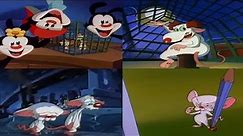 All Pinky and the Brain Intros (1993 - 2022)