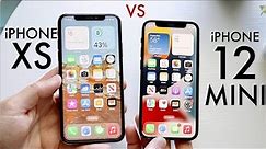 iPhone 12 Mini Vs iPhone XS! (Comparison) (Review)