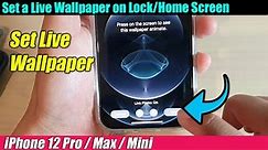 iPhone 12/12 Pro: How to Set a Live Wallpaper For Lock/Home Screen