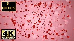 Romantic Love Valentines Pink Wallpaper Screensaver Background 4K 8 HOURS