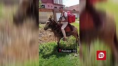 Entregador perde moto em blitz e usa burro para trabalhar; vídeo