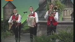 Stoakogler Trio - Steirermen san very good