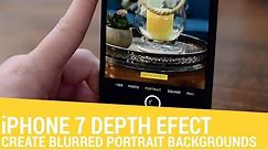 Portrait Depth Effect Mode on iPhone 7 Plus